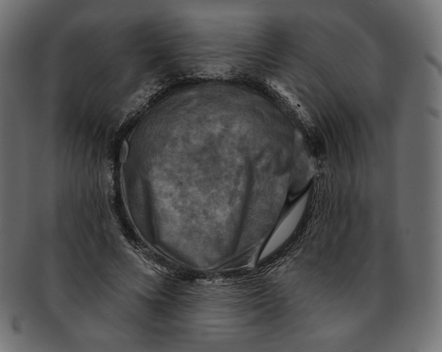 X0000091850688200709261208