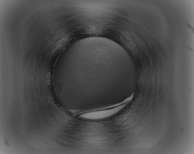 X0000091850689200709261207