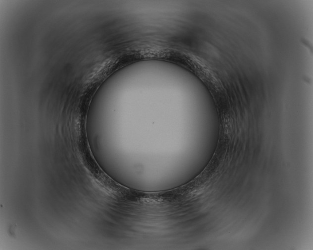 X0000091850690200709261207