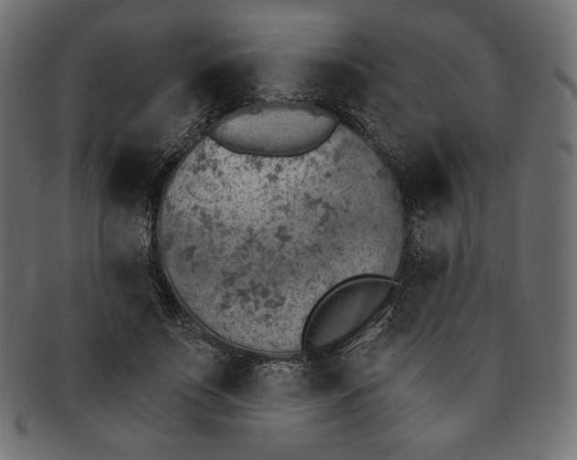 X0000091850691200709261207