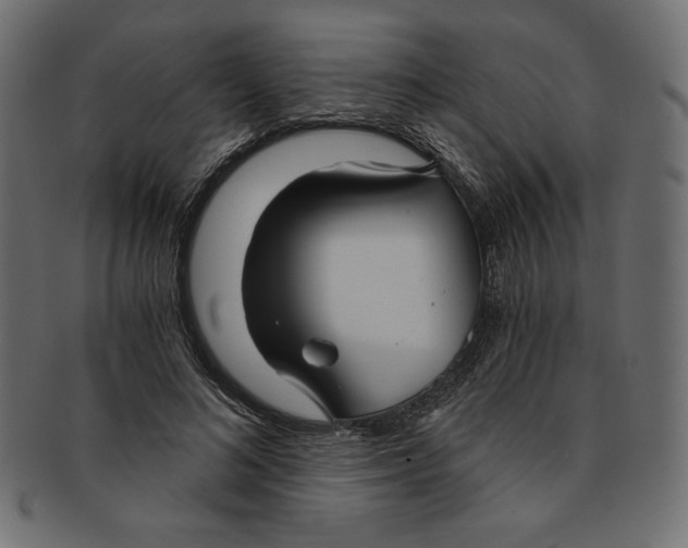 X0000091850692200709261207