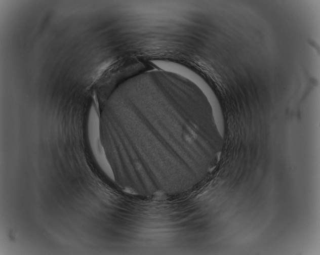 X0000091850693200709261207