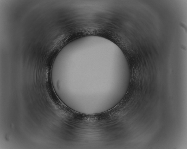 X0000091850694200709261207