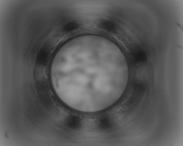 X0000091850695200709261207