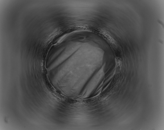 X0000091850696200709261207