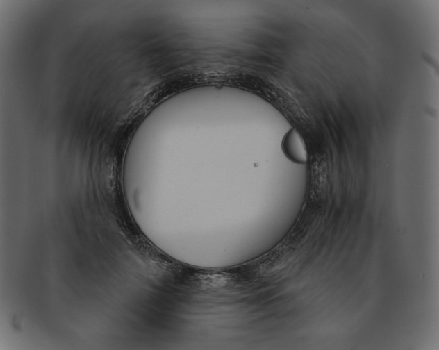 X0000091850698200709261207