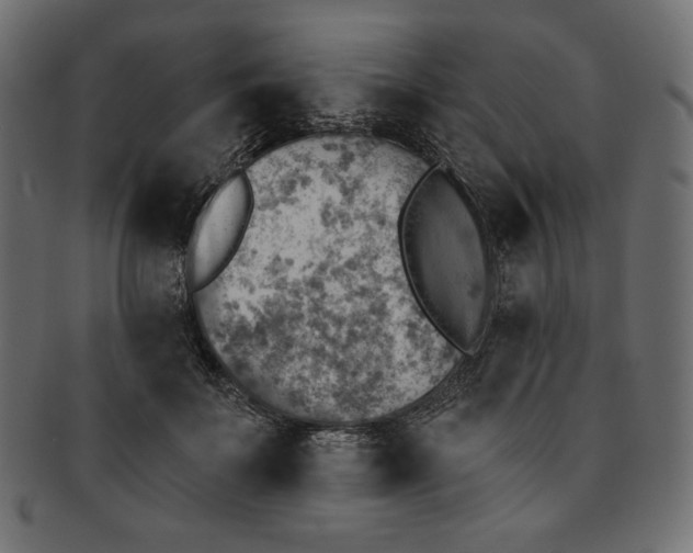 X0000091850699200709261207