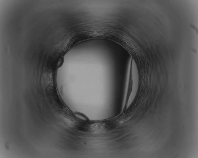 X0000091850700200709261207