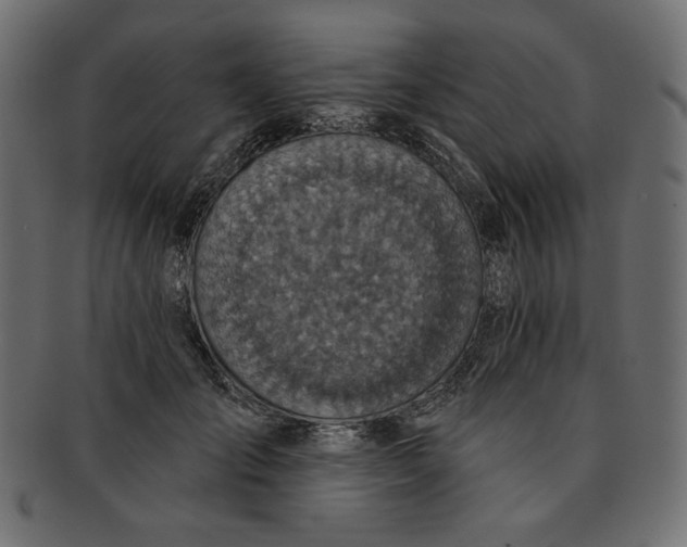 X0000091850701200709261207