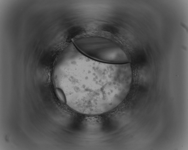 X0000091850703200709261207