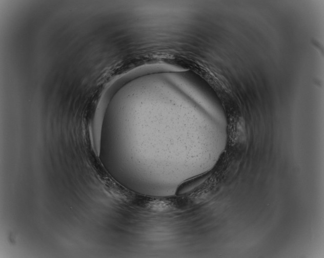 X0000091850704200709261207