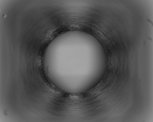 X0000091850706200709261207