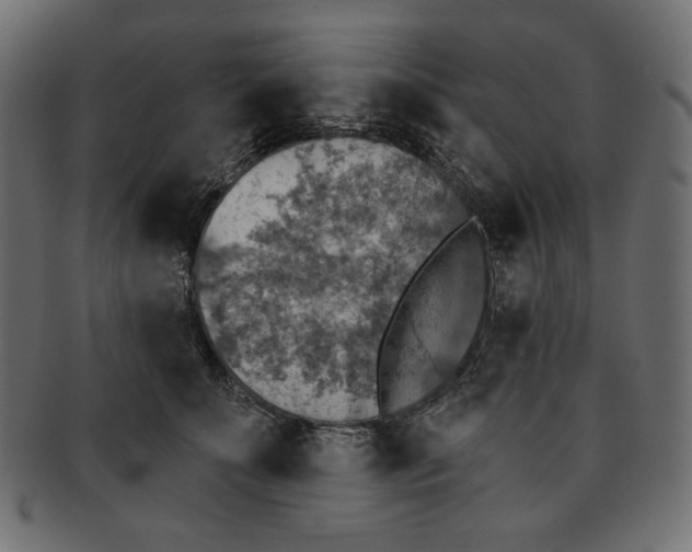 X0000091850707200709261207