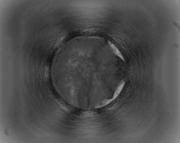 X0000091850708200709261207