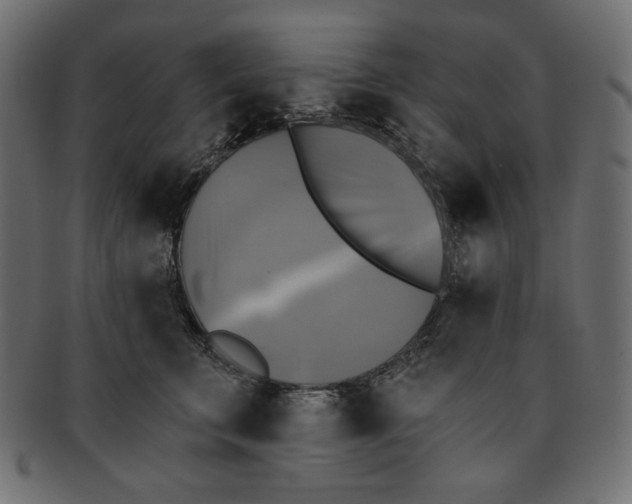 X0000091850711200709261207