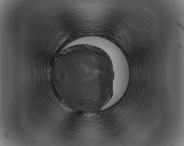 X0000091850712200709261207