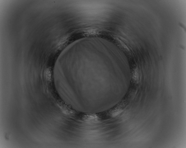 X0000091850715200709261207