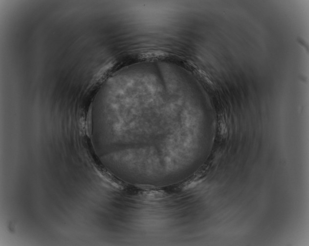 X0000091850716200709261207