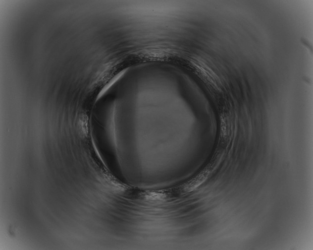 X0000091850718200709261207