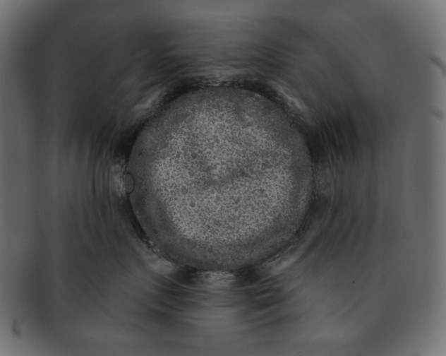 X0000091850719200709261207