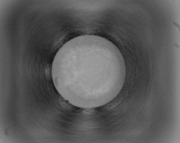 X0000091850720200709261207