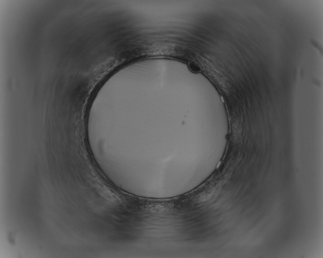 X0000091850721200709261206