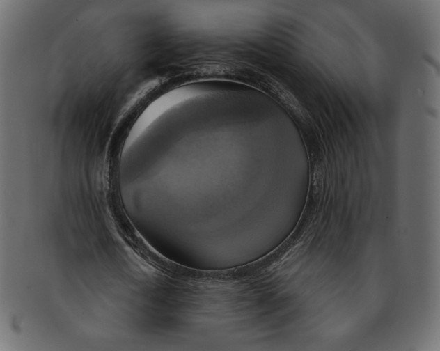 X0000091850722200709261206