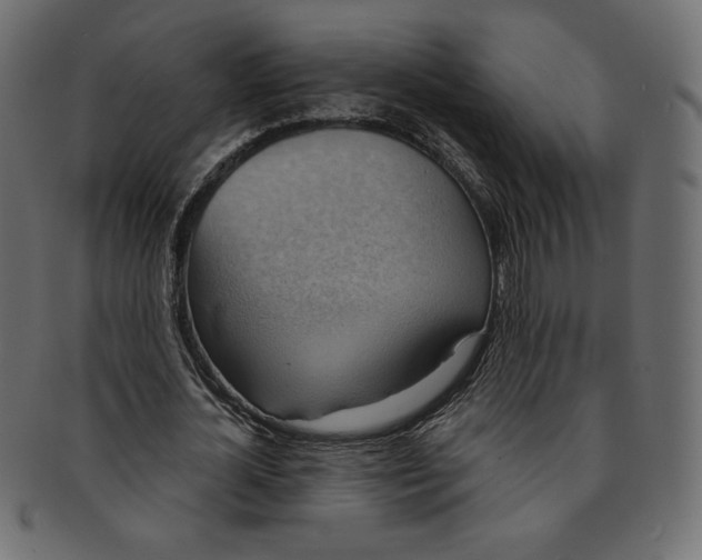 X0000091850724200709261206