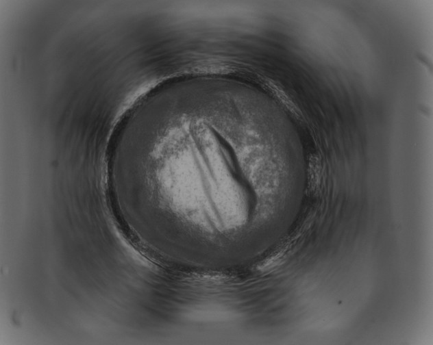 X0000091850726200709261206