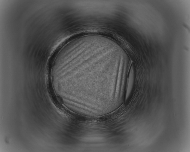 X0000091850728200709261206