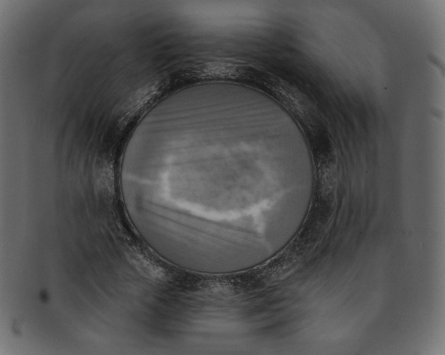 X0000091850729200709261206