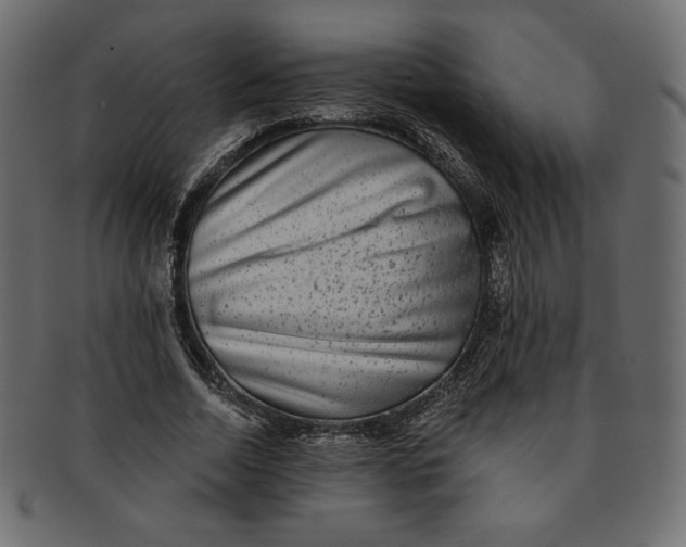 X0000091850730200709261206