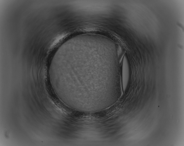 X0000091850732200709261207