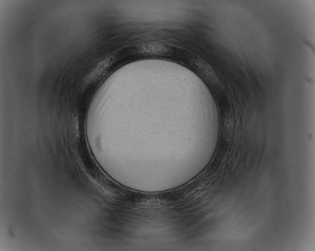 X0000091850734200709261207