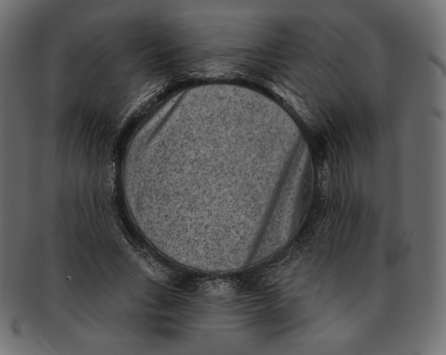 X0000091850735200709261207