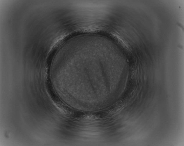 X0000091850736200709261207