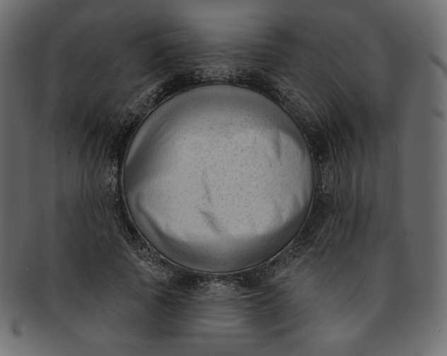 X0000091850737200709261207