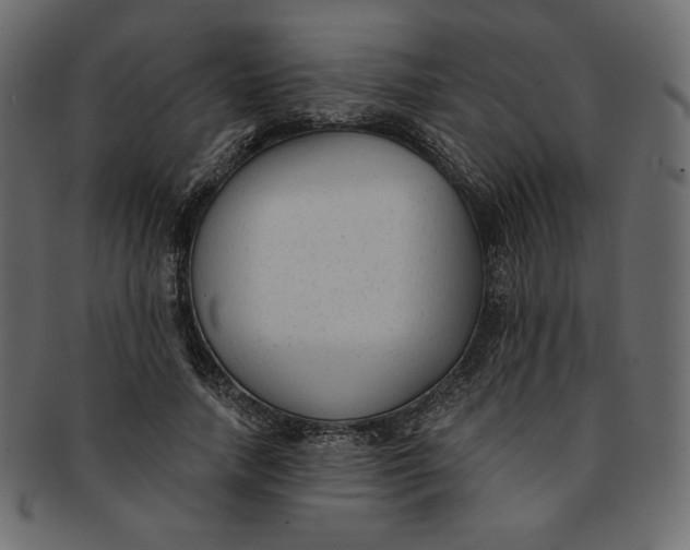 X0000091850738200709261207