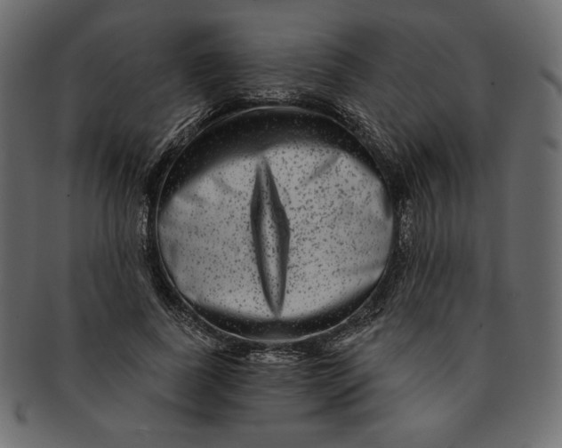 X0000091850739200709261207