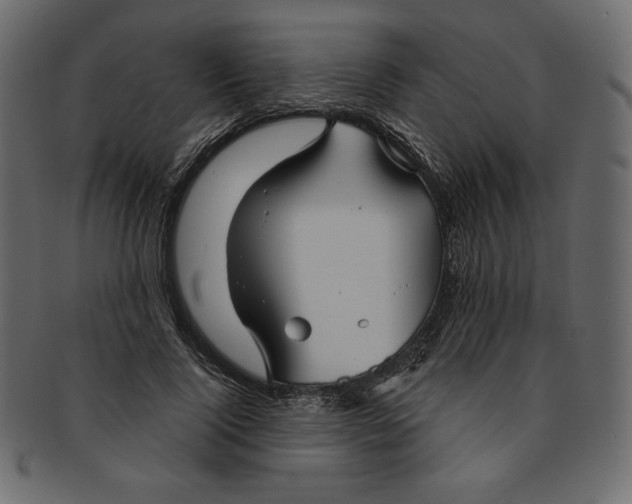 X0000091850740200709261207