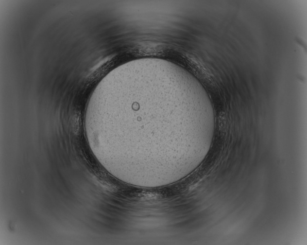 X0000091850741200709261207