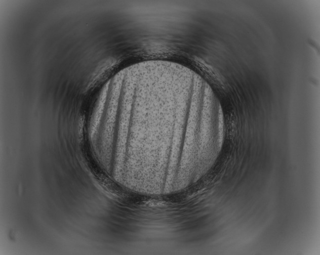 X0000091850742200709261207