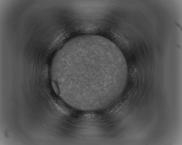 X0000091850744200709261207