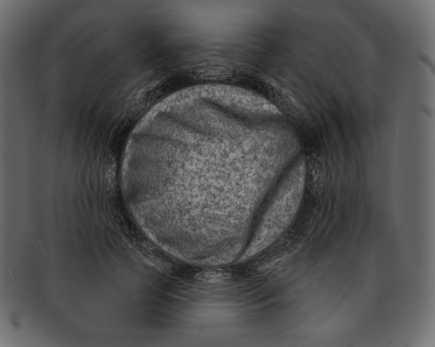 X0000091850745200709261207