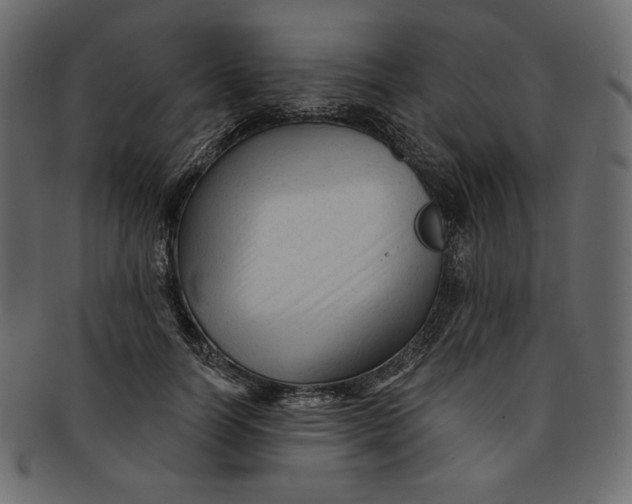 X0000091850746200709261207