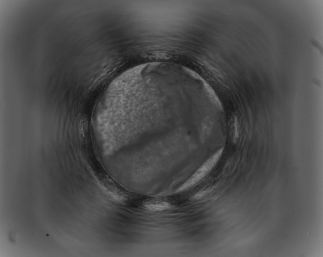 X0000091850747200709261207