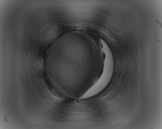 X0000091850748200709261207