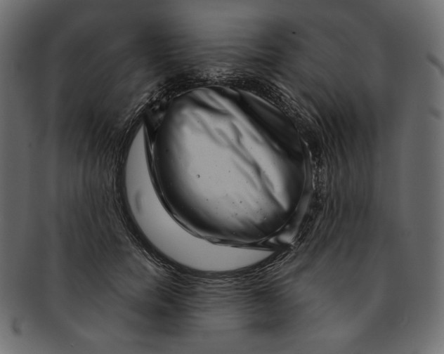 X0000091850750200709261207