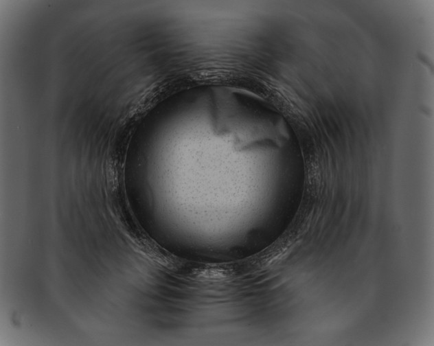 X0000091850751200709261207