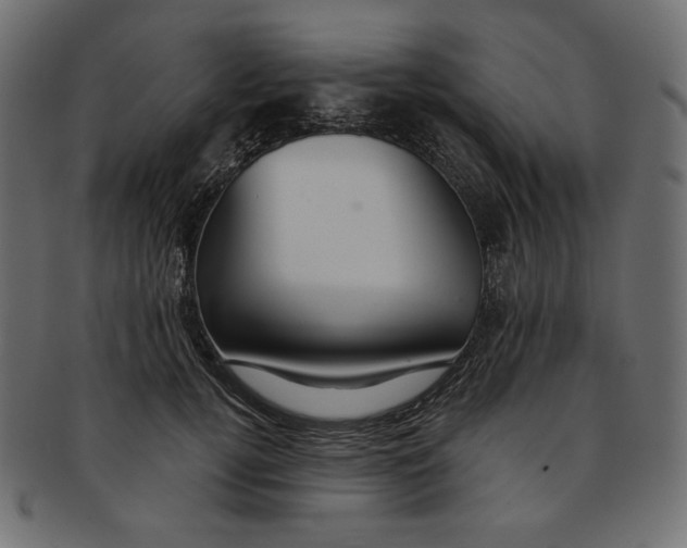 X0000091850752200709261207